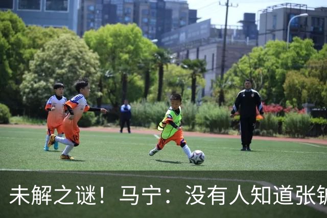 未解之谜！马宁：没有人知道张铖为何落选，他没过体测是假消息！